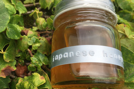 日本蜜蜂のハチミツ　　　　　　　　　【たれ蜜/50g 】【天然】