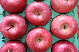 果物の商品一覧 食べチョク 農家 漁師の産直ネット通販 旬の食材を生産者直送