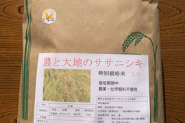 令和4年ササニシキ 玄米10kg～農薬・化学肥料不使用