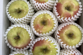 【数量限定・化粧箱入】 青森県産りんご「ぐんま名月」 約3kg　中玉【光センサー選果・冬ギフト】