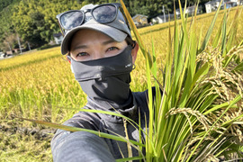 きぬむすめ 5キロ　令和7年