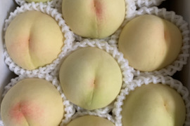 岡山【女王清水白桃】をはじめ柔らかい中生品種~ご家庭用2kg箱7~9個入り