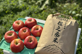 りんご＆お米！　はれわたり（白米）5kgと葉取らず高徳（家庭用）2kg（5〜10個入り）