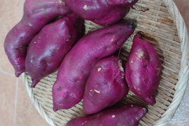 極甘！しっとりサツマイモ ３キロ