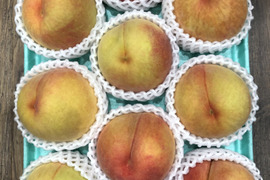 黄金桃9玉　A級