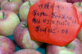 「家庭用」葉取らずふじりんご🍎5キロ箱23個入りです。