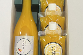 みかん満喫ギフト（みかんジュース＆ゼリー）