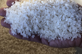 令和4年度産白米こだわりのコシヒカリ2kg(1等米)
食味値80点以上