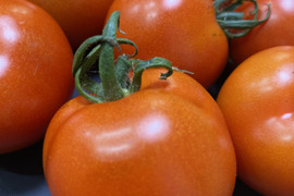 甘味と旨みが際立つ贅沢京都産ミディトマト（フルティカ）　1kg（10玉前後）