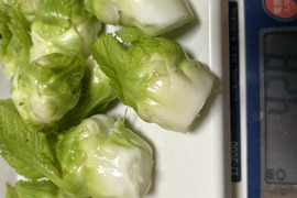 春を先取り！子持ち高菜(祝雷)約600g