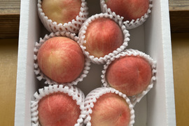 早実り、香り豊かな桃！ひめまるこ　1kg