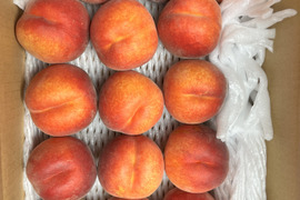 🉐2026年予約【お中元】大人気！！長野県産桃【ワッサー】家庭用3kg