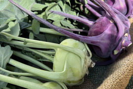 生でシャキッシャキッ！炒めてコリコリ！煮てホクホクの万能野菜 軽井沢町産高原野菜 コールラビ おひさまたっぷり ４kg
