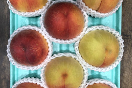 黄金桃8玉　A級