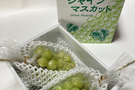 【冬ギフト】【御年始】「シャインマスカット」　1房約400g 2房入り　熨斗対応可
