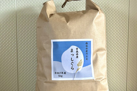 【R7新米！】青森県産まっしぐら【白米5キロ】