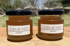 富士山麓の「にほんみつばち」HONEY 天然はちみつ　50g×2本セット　ニホンミツバチ