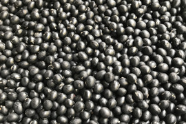 『黒豆のお味噌作りに！』丁寧に手摘みした黒大豆【農薬・化学肥料・除草剤、不使用】6,000g（農家直送）