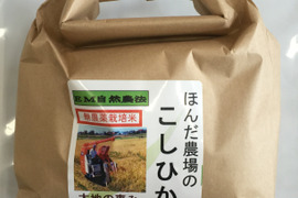 令和5年産 新米 特別栽培米 農薬不使用 化学肥料不使用 除草剤不使用 コシヒカリ 玄米 2kg