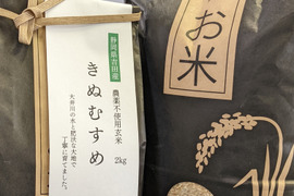 【R3年度産 玄米5kg】農薬・肥料を使用せずに大事に育てたお米です