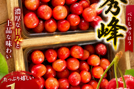 食べ応え満点！！！山形県産さくらんぼ　紅秀峰　贈答用　1kg