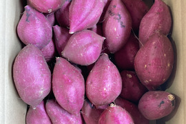 しっとり甘い！熟成シルクスイート（丸型　Sサイズ　5㎏）