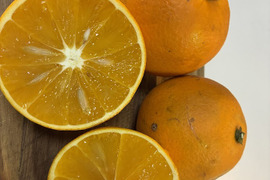 鹿児島県産　早摘みオレンジ！２ｋｇ