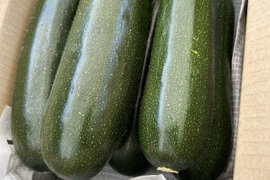 ズッキーニ2kg 農薬化学肥料不使用