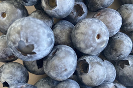 【中粒なのでお値打ち品！】中粒生ブルーベリー500g×2パック