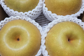 樹上完熟和梨「幸水」2kg【クール便】