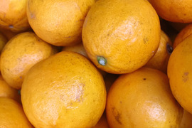 甘いレモン！レモネード◆農薬不使用◆1kg