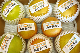 【旬の梨食べ比べ‼️3～5品種】何が届くかお楽しみ😋贈答用2.5kg以上、豊水・あきづき・かおり・あきあかり・二十世紀・南水・にっこり・新高・王秋・新興・愛宕の中から3品種以上詰め合わせます‼️