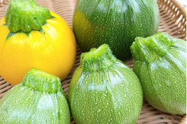 【京都産】食卓を彩る！彩りズッキーニお任せセット（通常＆丸ズッキーニ）１㎏