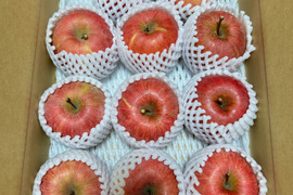 農家直送　家庭用サンふじりんご３kg（８～１２玉）