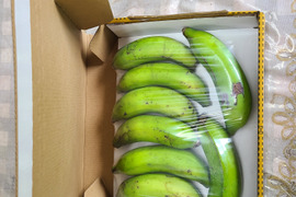 有機ほ場・自然栽培　徳之島産『百歳島バナナ』6～8本　　（約800g）皮ごと「バーベキュー」「レンジでチン」で　　絶品スイーツに変身！