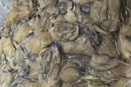 いつでも食べられるスチーム牡蠣冷凍