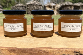 富士山麓の「にほんみつばち」HONEY 天然はちみつ　50g×3本セット　ニホンミツバチ