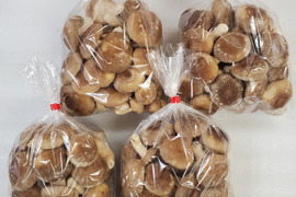 新鮮！用途多彩！生しいたけ（菌床）　2kg