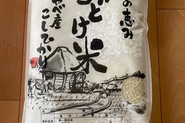京都府丹波産 コシヒカリ 5kg
