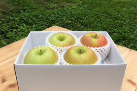 🍏【家庭用】幸せを呼ぶ黄色いりんご『こうこう』🍯弘前大学生まれ！甘酸っぱく蜜入りも期待できる希少品種【ご自宅用】お試しサイズ３個から５個入り