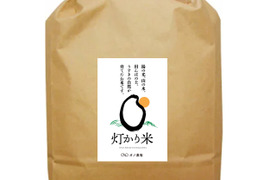 農薬不使用・無施肥　白米　八分づき　灯かり米（ヒノヒカリ）　箱込１０kg
