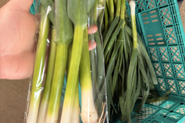 【今だけの旬】露地栽培の濃厚な香り！葉ニンニク｜茨城県つくば市・ヒビキファーム直送 1kg