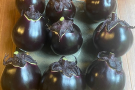 ナスの検索結果 食べチョク ナスの検索結果 食べチョク