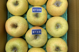 まるかじり！星の金貨🍏