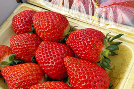 ワイン堆肥で栽培！　べにたま『埼玉いちご』　2パック詰め中粒」
環境保全に取り組みながら「美味しいだけじゃない苺」を栽培
地域資源循環型農業で有機ゴミを有効活用できる「いちご特別栽培」認証！