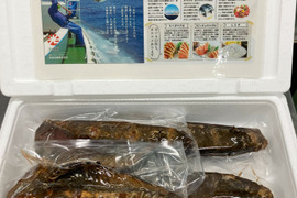 【訳あり】B1カツオ藁焼き6節