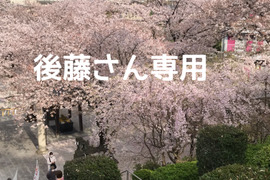 後藤さん専用