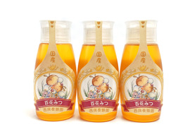 【お得な3本セット】「蜂蜜専用チューブ」
☆〈500ℊ×3本〉純粋国産百花蜜