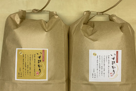 自然栽培【イセヒカリ】玄米20kg 新米(5kg×4) 令和5年度兵庫県産 農薬肥料不使用の自然栽培米