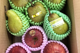 🍐洋梨ラフランス🍎ふじりんご 詰め合わせ 2kg箱まんぱい詰め (2〜4種) ギフト 【冬ギフト】